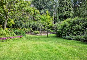 Optimiser l'expérience du jardin à Poilly-lez-Gien